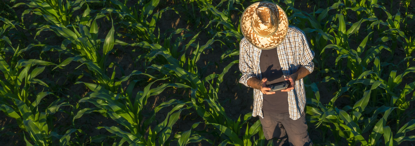 Agriculture farming Agriculture farming