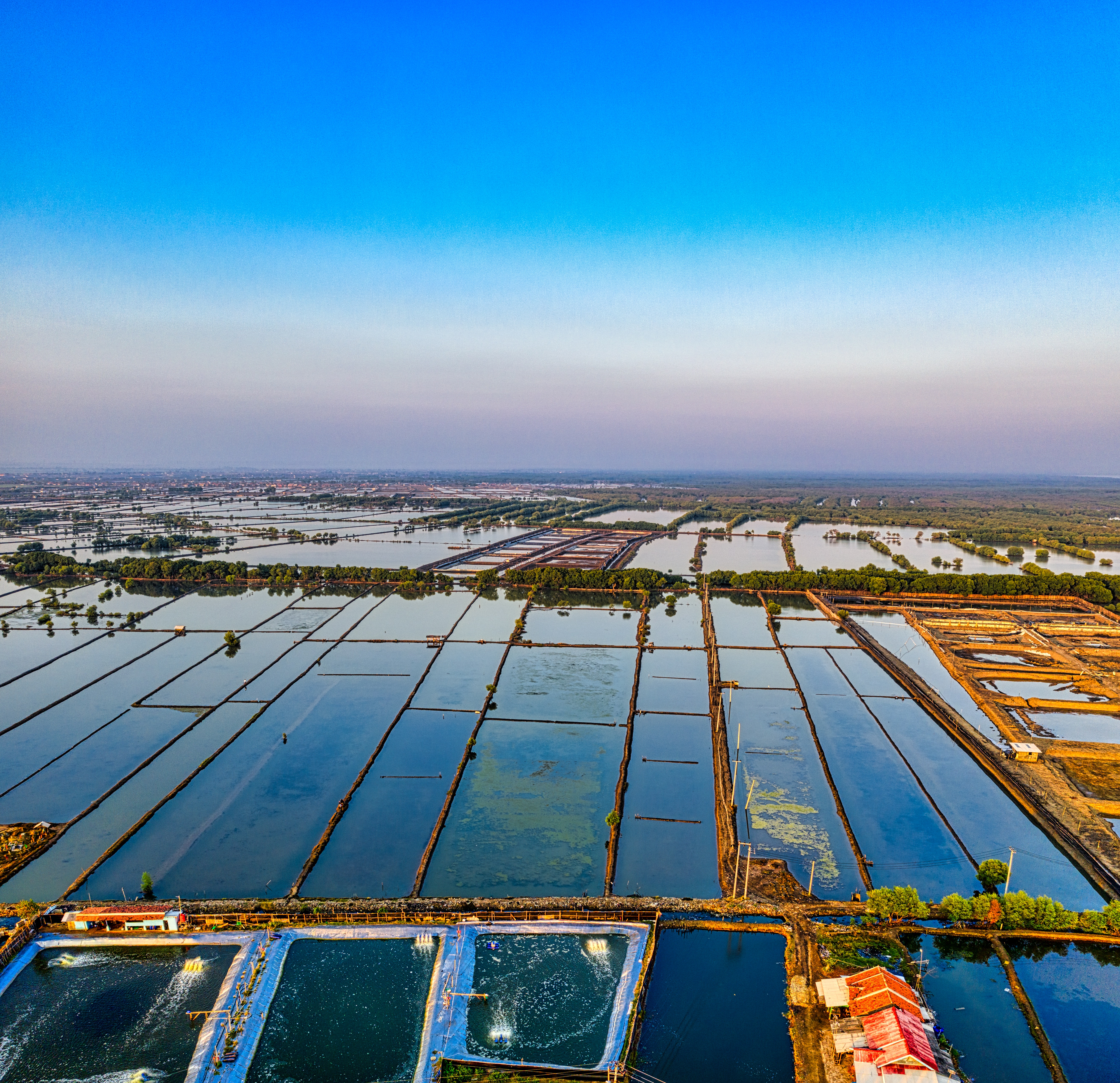 Fish farming Fish farming