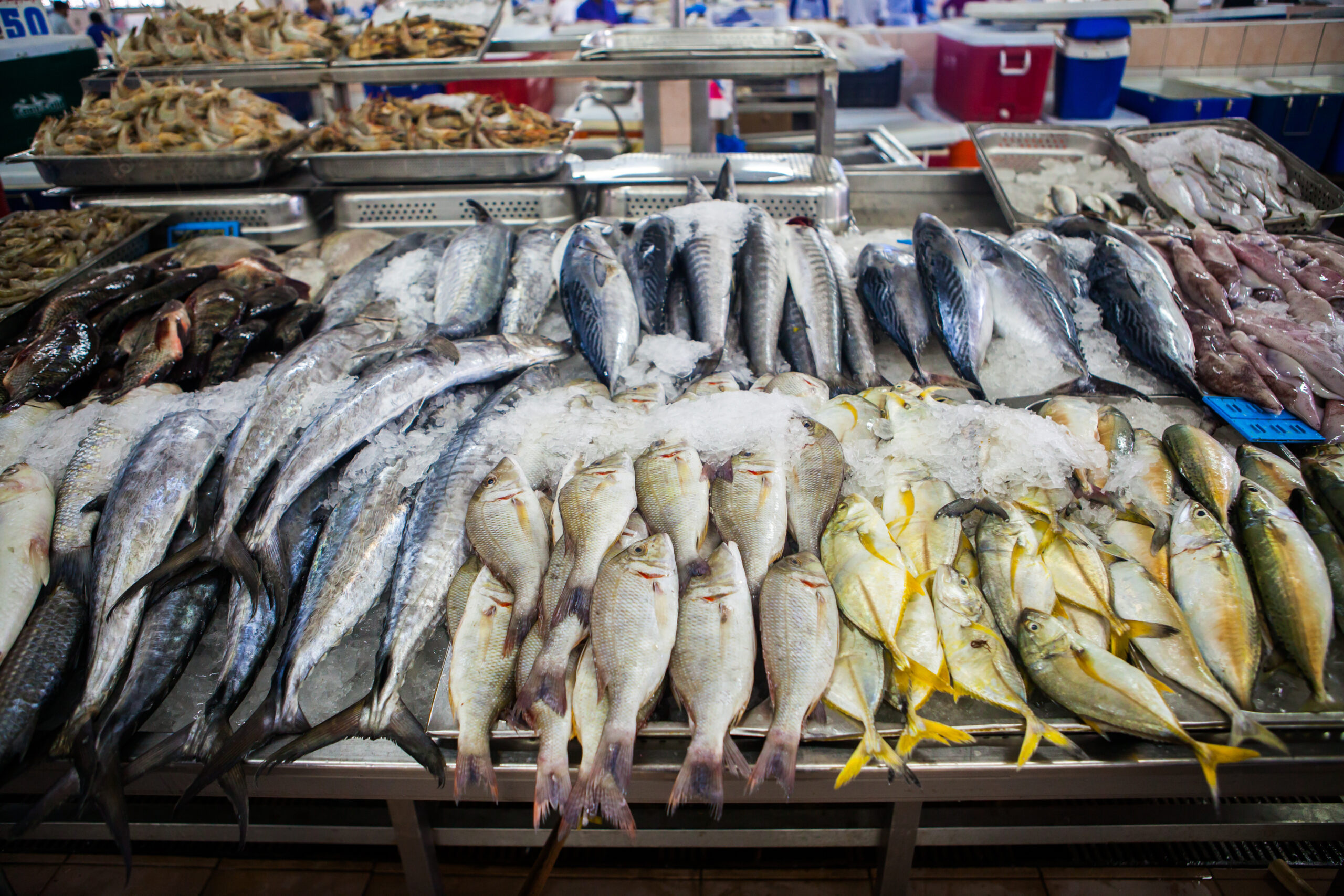 MSC – seafood MSC – seafood
