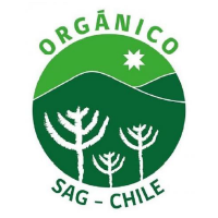 OrgánicoChile